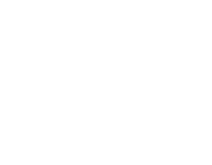 Payce