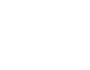 netball