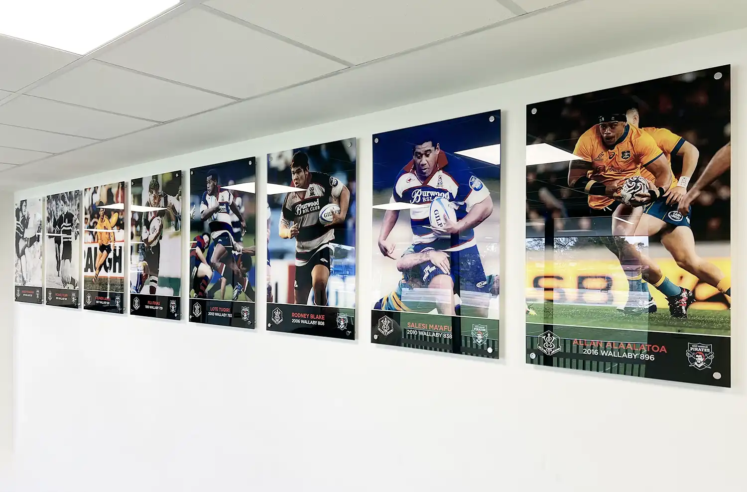 8 Acrylic Signs offset mounts of West Harbour Rugby Wallaby Players